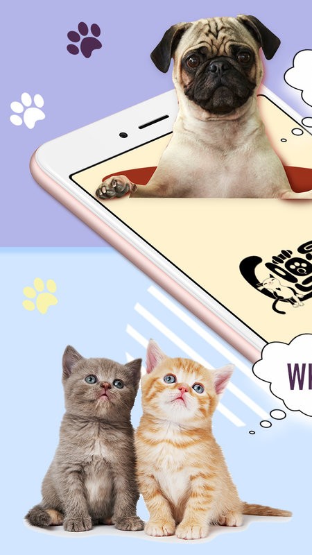 猫狗语翻译器app