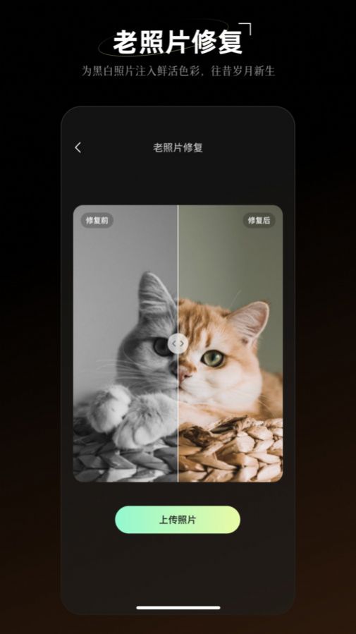 炫彩工坊app官方版图片1