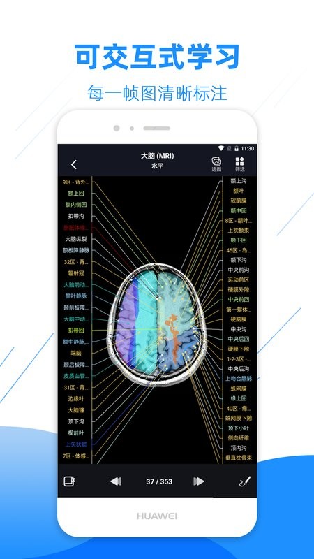影像解剖图谱app