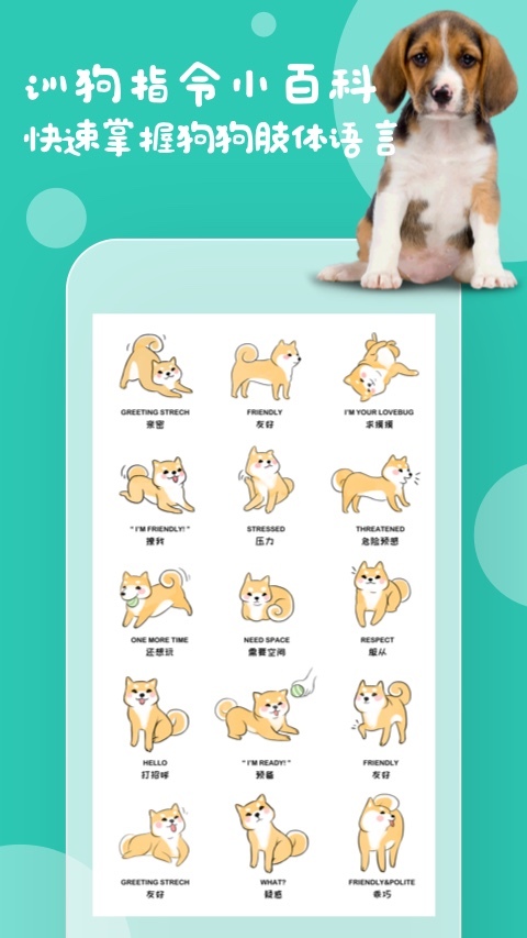 狗语翻译再线app最新版图片2