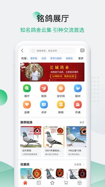 中国信鸽信息网app下载