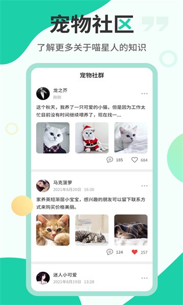 猫语翻译机app