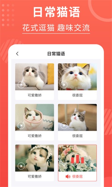 猫猫翻译器app