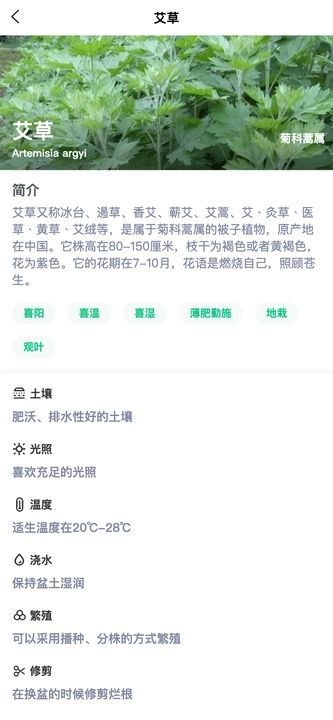 梦幻绿植百科app官方版图片1