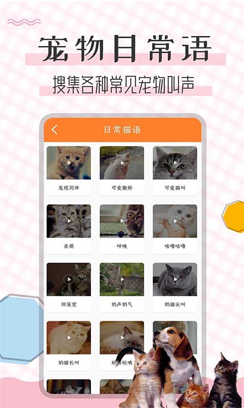 猫语翻译宝下载