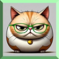 猫大爷看剧正版