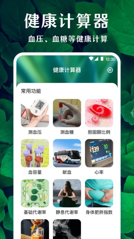 薄荷广场舞最新版