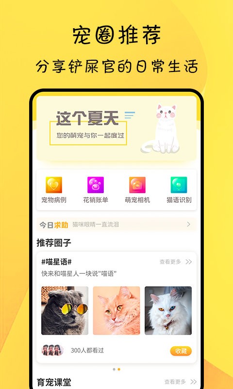 猫翻译app