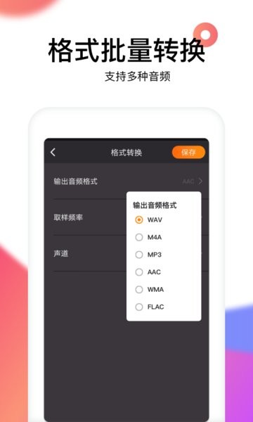 reversevoice app