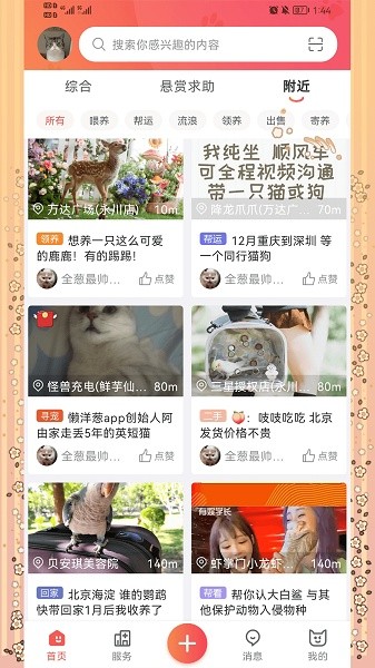 懒洋葱下载
