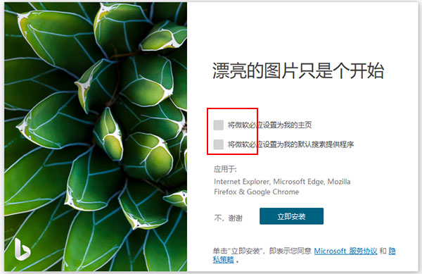 bingwallpaper官方下载